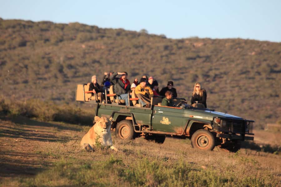 From Cape Town: 5-Day Garden Route & Addo Elephant Park Tour - What the $931 price really buys you