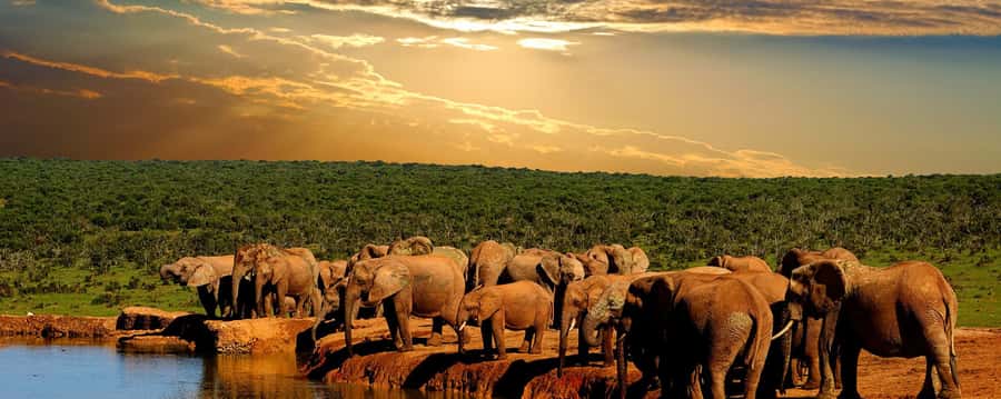 From Cape Town: 5-Day Garden Route & Addo Elephant Park Tour - Day 2: Knysna views and the road to Storms River