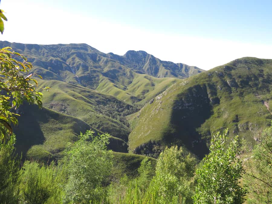 From Cape Town: 5-Day Garden Route & Addo Elephant Park Tour - Day 3: Tsitsikamma’s bridge and the Addo choice