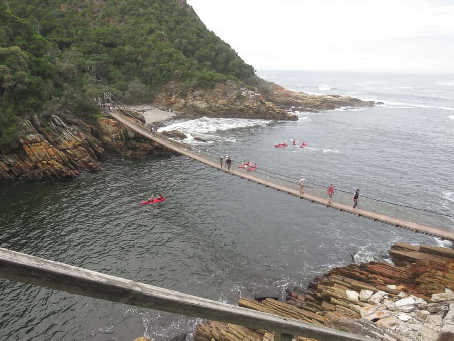From Cape Town: 5-Day Garden Route & Addo Elephant Park Tour - Who will enjoy this five-day route