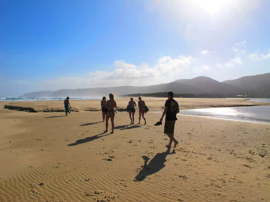 From Cape Town: 7-Day Garden Route, Addo and Winelands Combo - Food, drinks, and what to pack