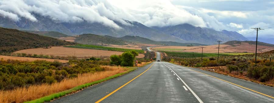 From Cape Town: 7-Day Garden Route, Addo and Winelands Combo - What the $1,240 price really buys you