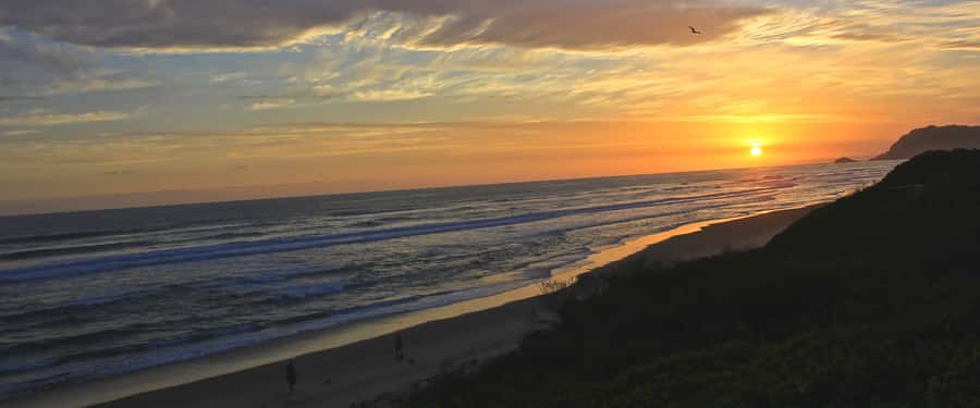 From Cape Town: 7-Day Garden Route, Addo and Winelands Combo - Days 1 and 2: Wine, Cape Point, and penguins
