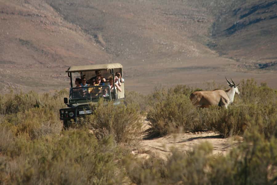 From Cape Town: Big Five Game Reserve with Lunch - Leaving Cape Town for the Hex River Valley