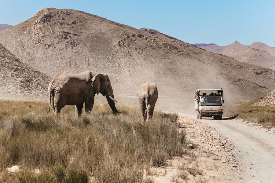 From Cape Town: Big Five Game Reserve with Lunch - Who should book this day trip?