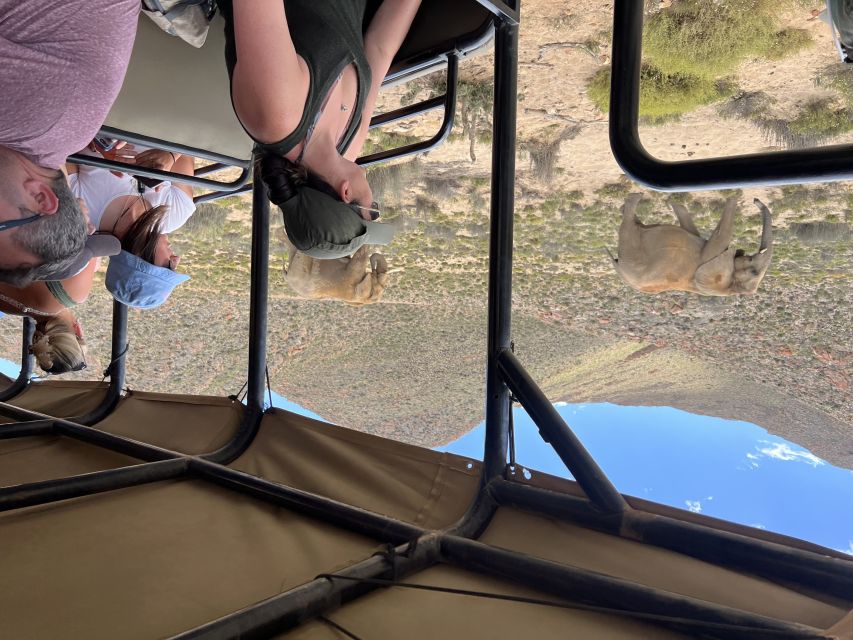 From Cape Town: Big Five Safari Experience with Lunch - What the price of $137 really covers