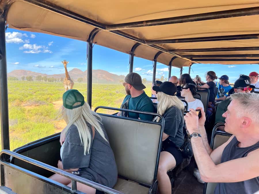 From Cape Town: Big Five Safari Experience with Lunch - Who will enjoy this safari most?