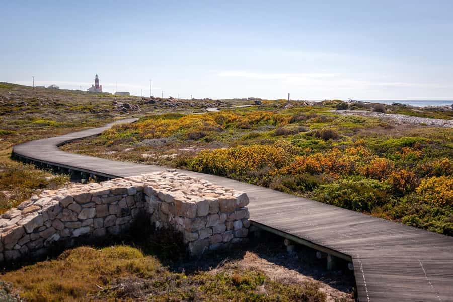 From Cape Town: Cape Agulhas, Penguins, Wine Tasting Tour - What the $214 price really covers