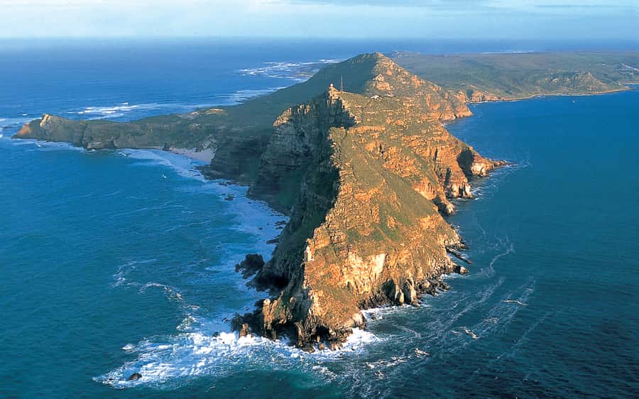 From Cape Town: Cape Point and Boulders Beach Full-Day Tour - Comfort, organization, and what the bus changes