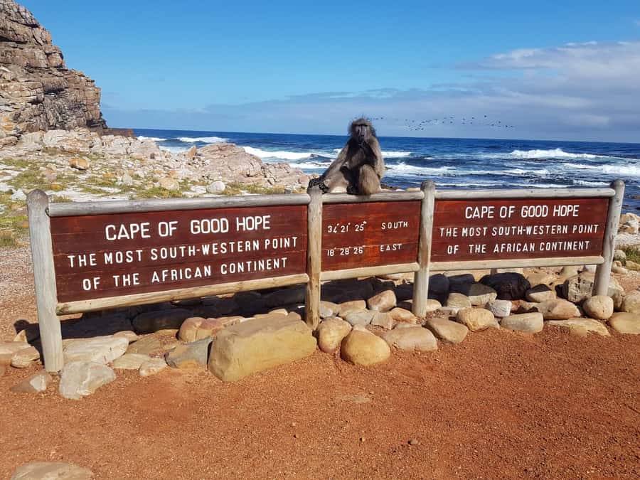 From Cape Town: Cape Point and Boulders Beach Full-Day Tour - What the $31 price really gives you