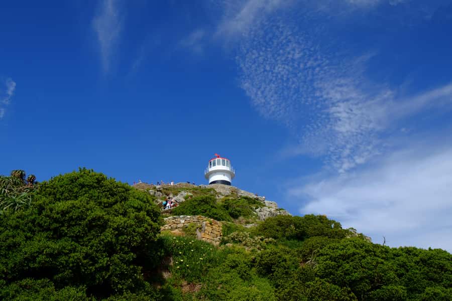 From Cape Town: Cape Point and Boulders Beach Half-Day Tour - Key points before you book