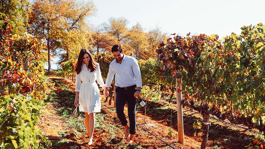 From Cape Town: Cape Winelands Full-Day Private Tour - What the $143 Price Really Covers