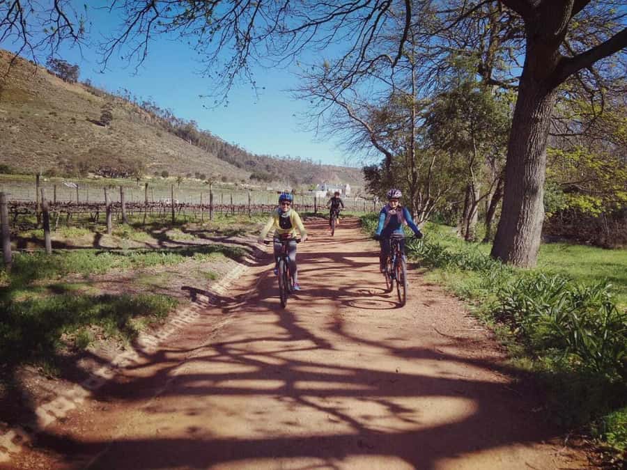 From Cape Town: Franschhoek Vineyards Bike Tour with Lunch - Key points at a glance