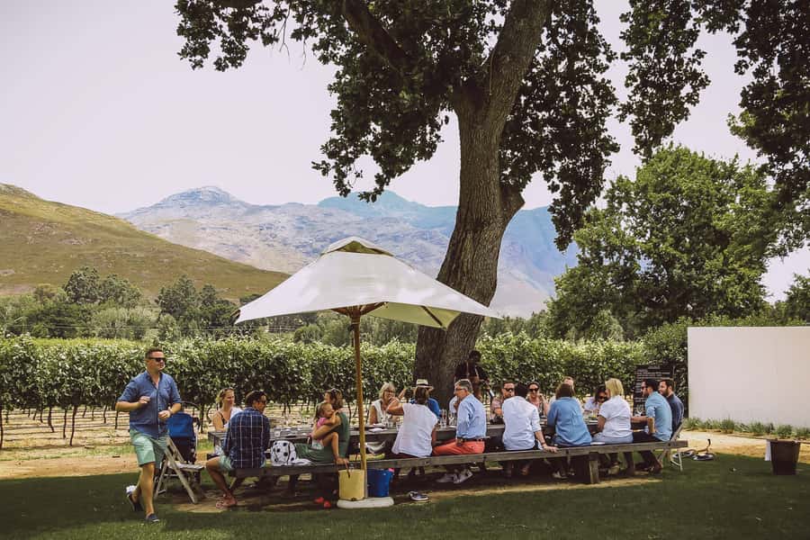 From Cape Town: Franschhoek Wine Tram Hop-on Hop-off - Who will enjoy this day most