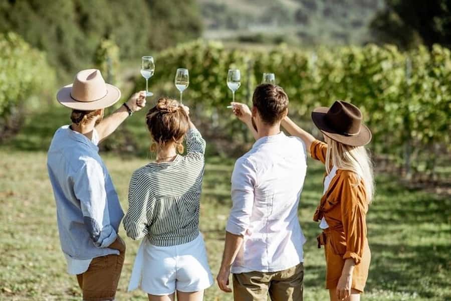 From Cape Town: Full-Day Cape Winelands Taste Tour + Tram - Why this full-day wine tour works