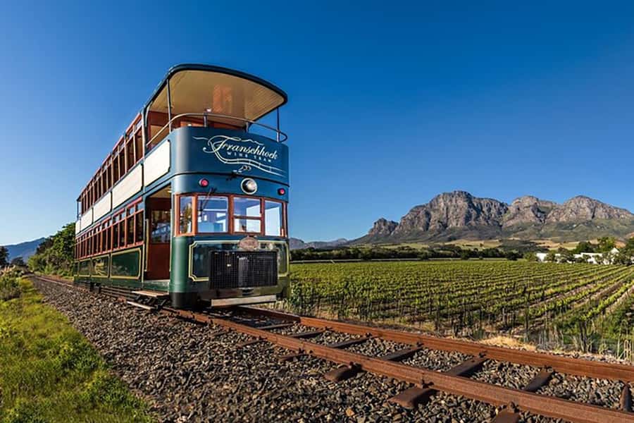 From Cape Town: Full-Day Cape Winelands Taste Tour + Tram - Fairview’s cheese and wine pairing