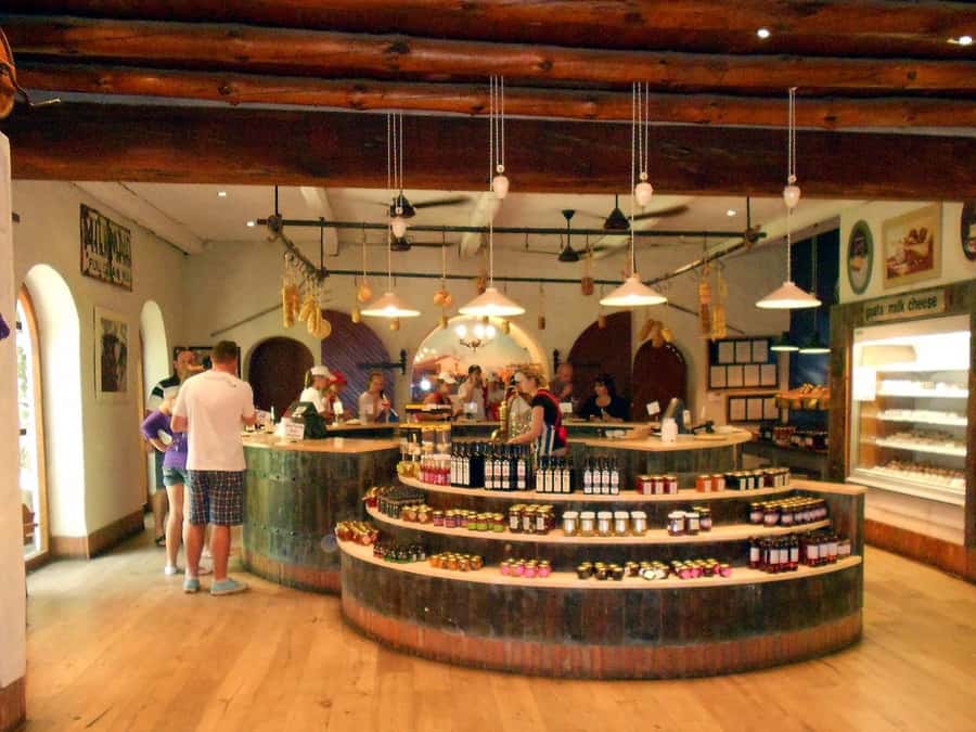 From Cape Town: Full-Day Cape Winelands Taste Tour + Tram - Free time in Franschhoek