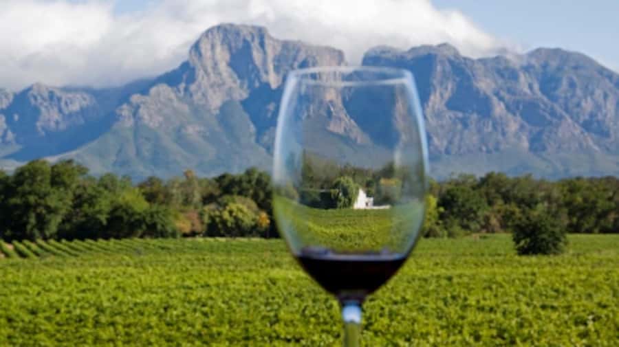 From Cape Town: Full-Day Cape Winelands Taste Tour + Tram - Group size, comfort, and practical preparation