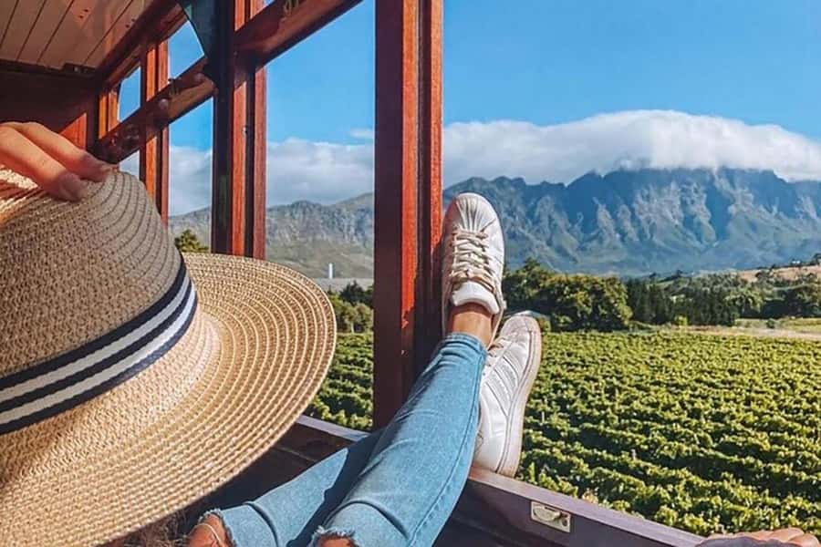 From Cape Town: Full-Day Cape Winelands Taste Tour + Tram - The morning minivan ride from Cape Town