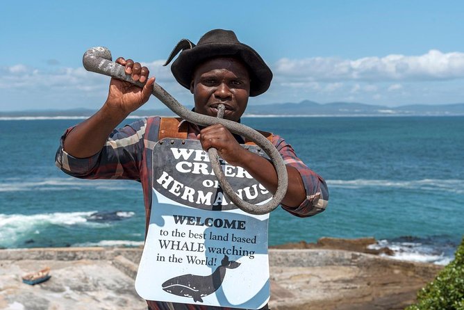 From Cape Town: Full Day Guided Hermanus and Whale Tour - Gordon’s Bay and the 1950s-style Pitstop