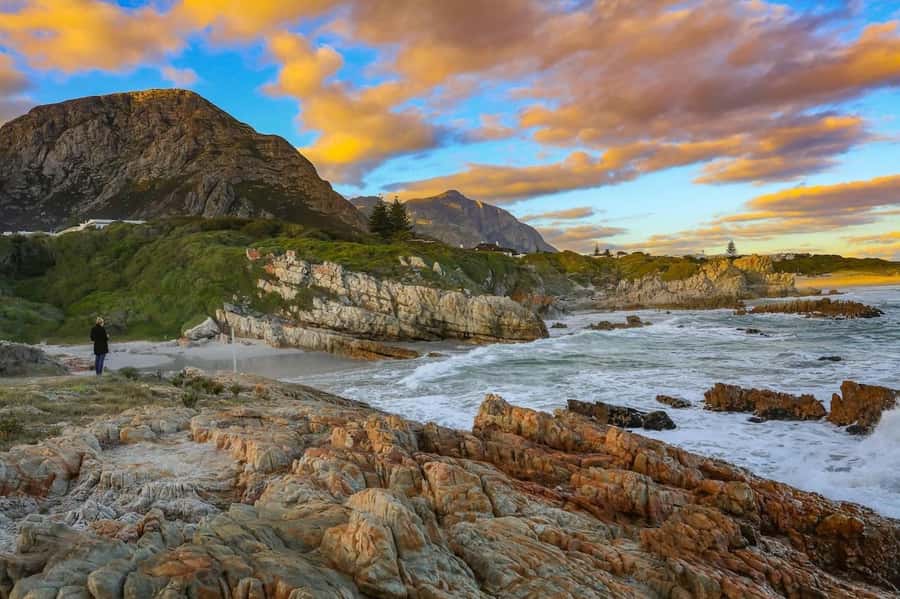 From Cape Town: Full Day Hermanus Whale Watching Tour - Wednesday and Friday: wine in the Hemel en Aarde Valley