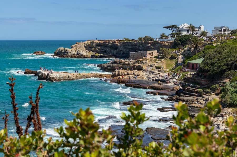From Cape Town: Full Day Hermanus Whale Watching Tour - The morning pickup and ride from Cape Town