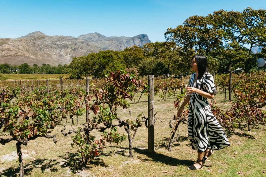 From Cape Town: Full Day Winelands Tour with wine tastings - Key points at a glance