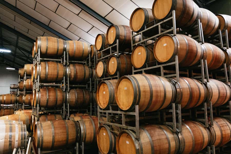 From Cape Town: Full Day Winelands Tour with wine tastings - Franschhoek: French roots and the best free time