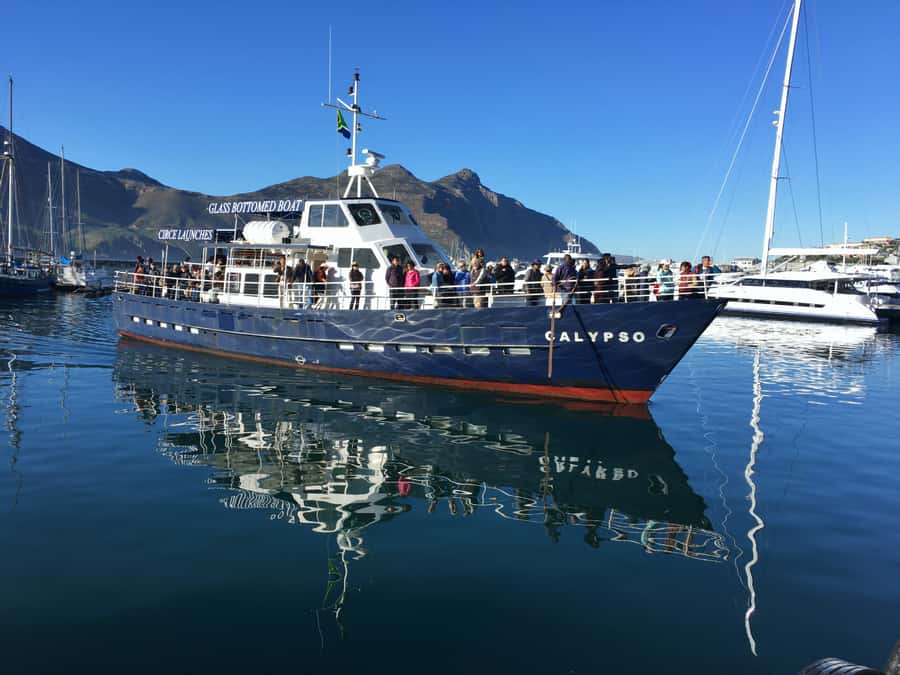 From Cape Town: Glass-Bottom Boat Seal Watching Tour - Key Points Before You Board