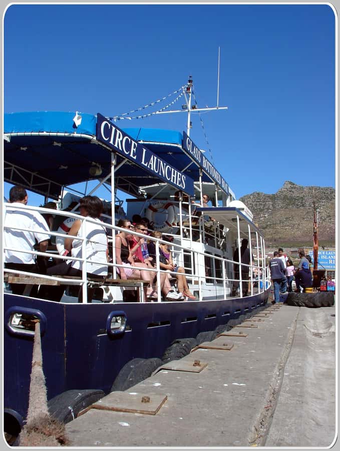 From Cape Town: Glass-Bottom Boat Seal Watching Tour - What the Glass Bottom Really Offers