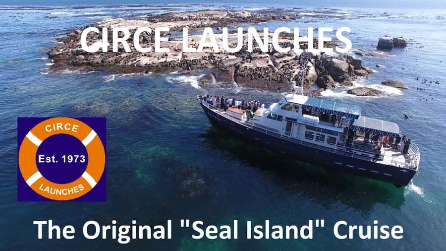 From Cape Town: Glass-Bottom Boat Seal Watching Tour - Who Will Enjoy This Cruise Most?