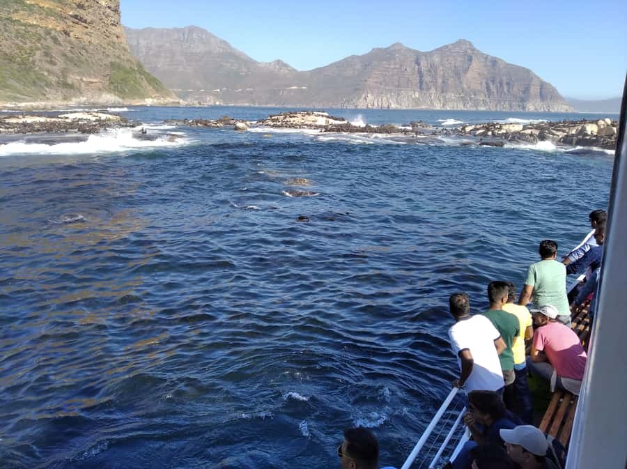 From Cape Town: Glass-Bottom Boat Seal Watching Tour - Practical Tips for a Better Trip