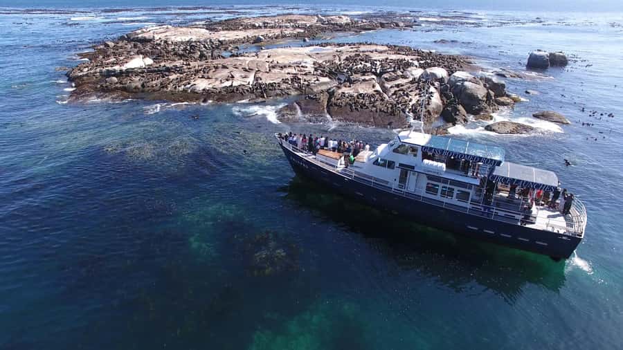 From Cape Town: Glass-Bottom Boat Seal Watching Tour - Fortifications Along Hout Bay Beach