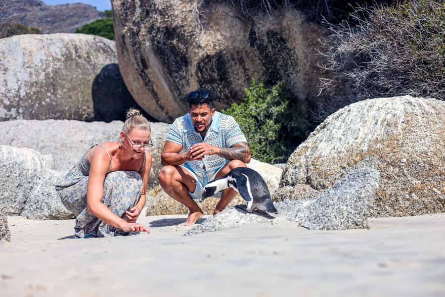 From Cape Town: Half-Day Boulders Beach and Penguins Tour - Key points to know before you go
