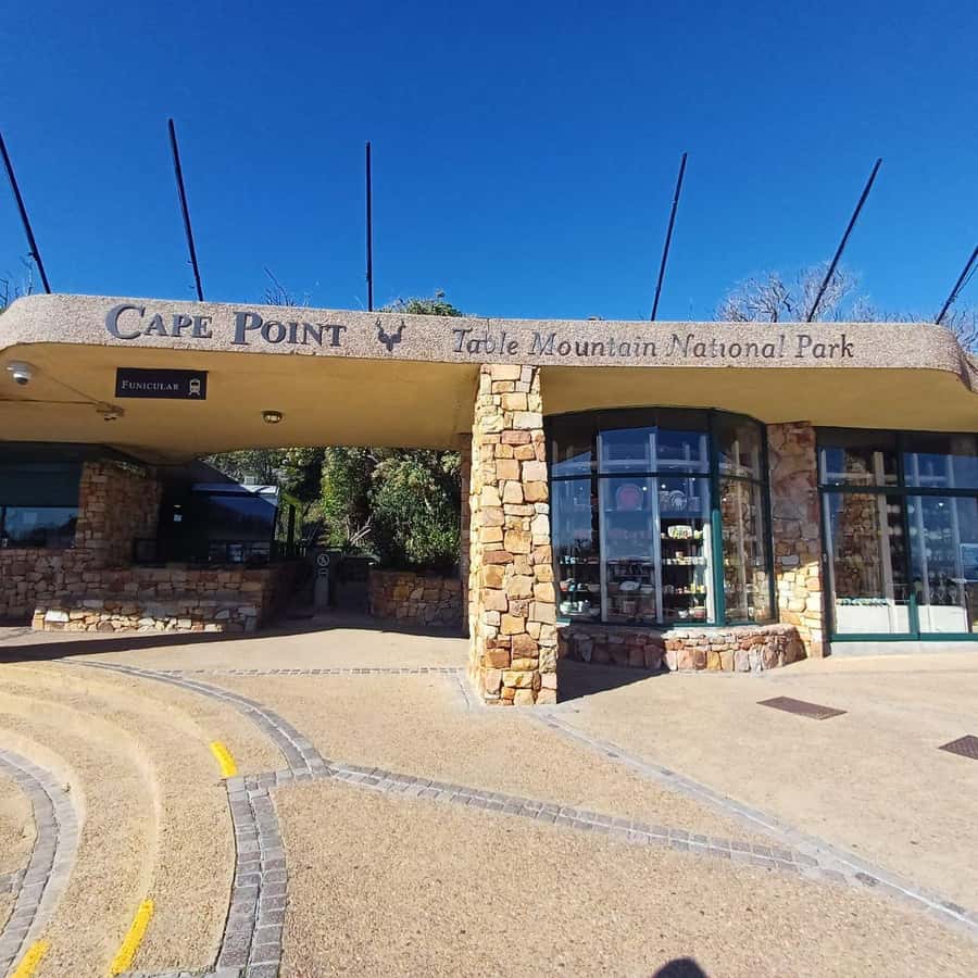 From Cape Town: Half Day Cape Point & Penguins Tour - What This Half-Day Route Does Well