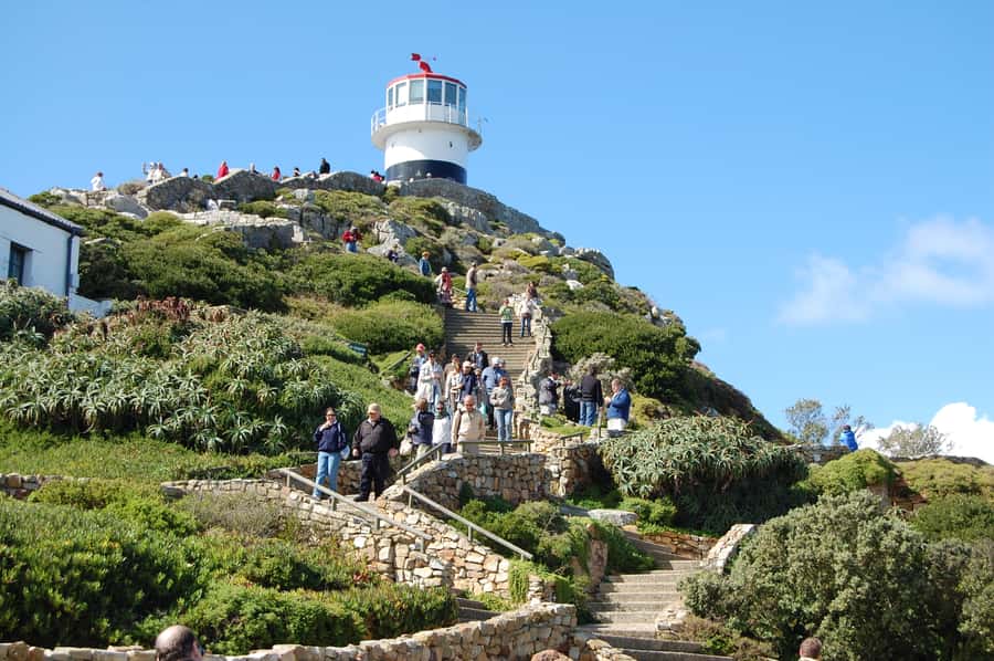 From Cape Town: Half Day Cape Point & Penguins Tour - Chapman’s Peak Drive: The Scenic Opening