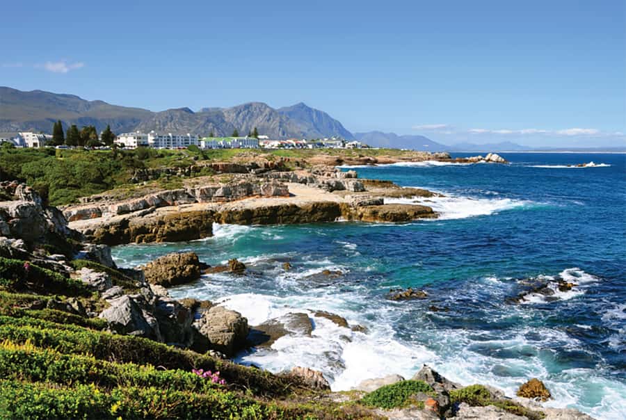 From Cape Town: Hermanus Whale Watching Full Day Tour - Why This Hermanus Day Trip Works