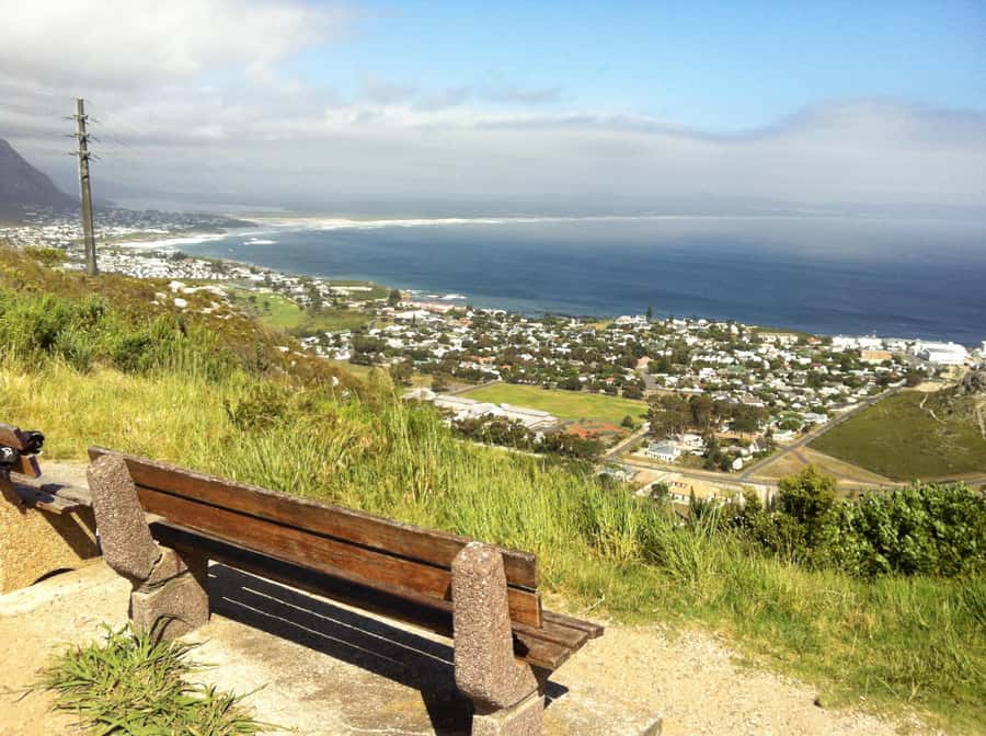 From Cape Town: Hermanus Whale Watching Full Day Tour - The Optional Boat Cruise: Book It Yourself