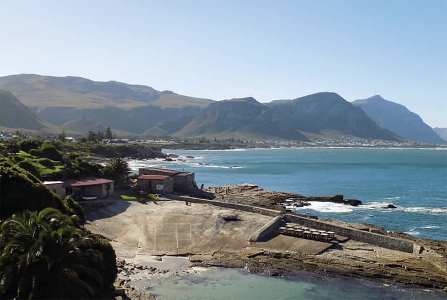 From Cape Town: Hermanus Whale Watching Full Day Tour - Urban Wine Tasting From the Hemel-en-Aarde Valley
