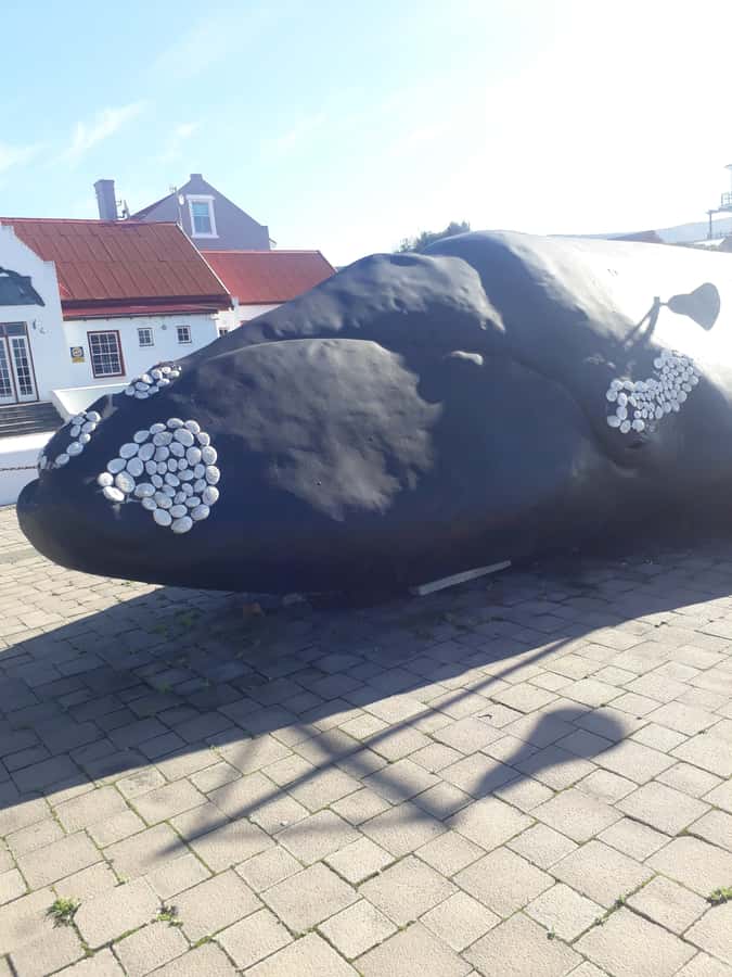 From Cape Town: Hermanus Whale Watching Tour with Transfer - Why this Cape Town to Hermanus trip appeals