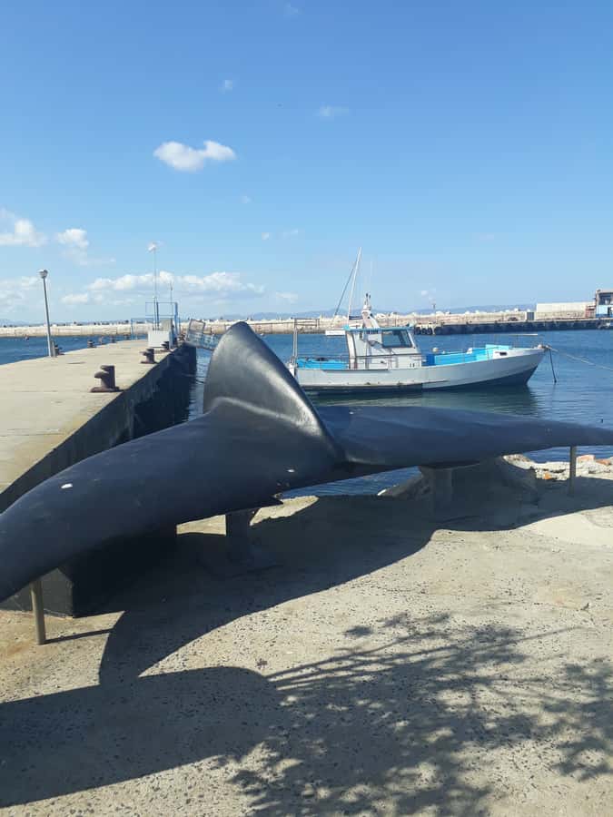 From Cape Town: Hermanus Whale Watching Tour with Transfer - Khayelitsha and the city beyond the postcard