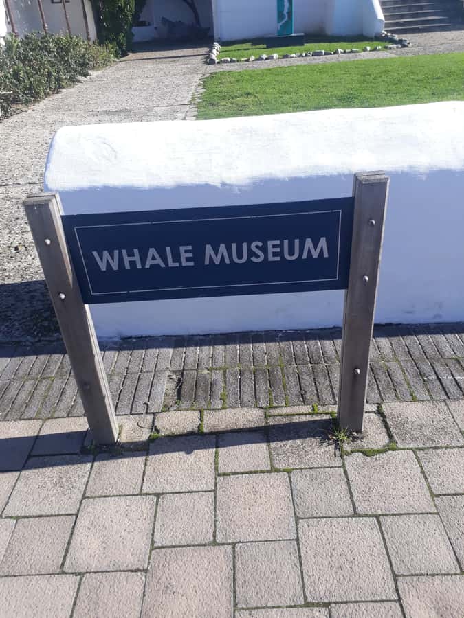 From Cape Town: Hermanus Whale Watching Tour with Transfer - Leaving Cape Town through Langa