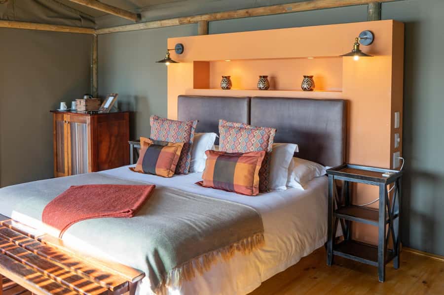 From Cape Town: South African Wildlife and Safari 2-Day Tour - Guides make or break the long transfers