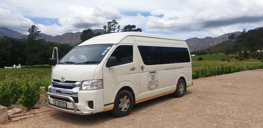 From Cape Town: Stellenbosch Four Estate Full-Day Wine Tour - Estate three: vineyard and cellar context