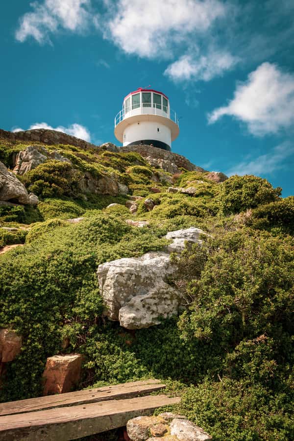From Cape Town: Table Mountain and Cape of Good Hope Tour - Simon’s Town provides the lunch break