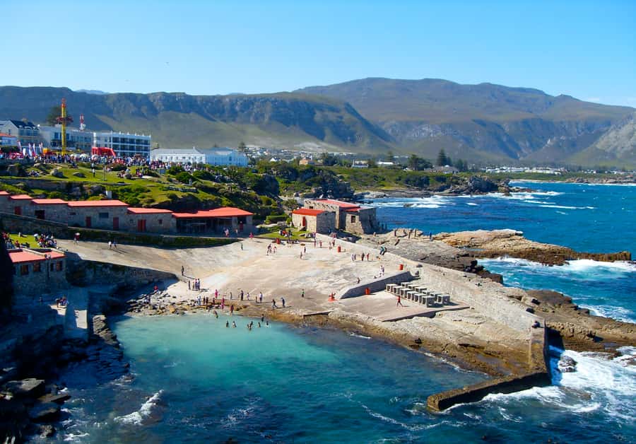 From Cape Town: Whale Watching Tour in Hermanus and Gansbaai - Betty’s Bay, Stony Point, and the coastal detours