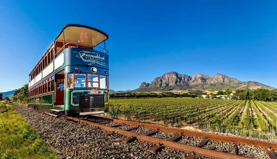 From Cape Town: Winelands Full Day Tour and Wine Tasting - Stellenbosch: a short town visit and cellar introduction