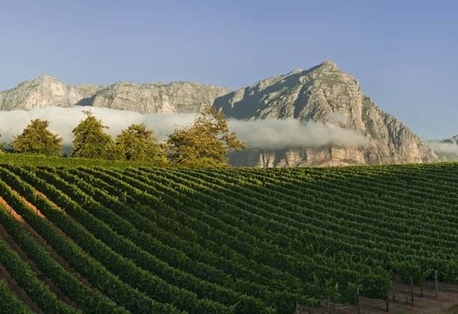 From Cape Town: Winelands Tour and Tastings - Key points at a glance