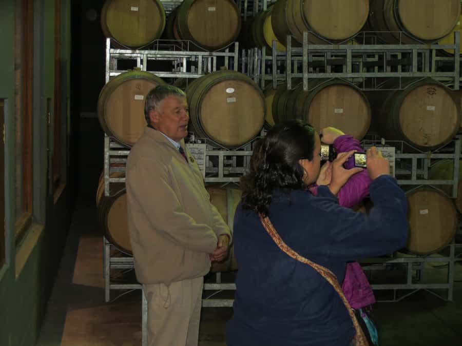 From Cape Town: Winelands Tour and Tastings - Why this Cape Winelands day works well