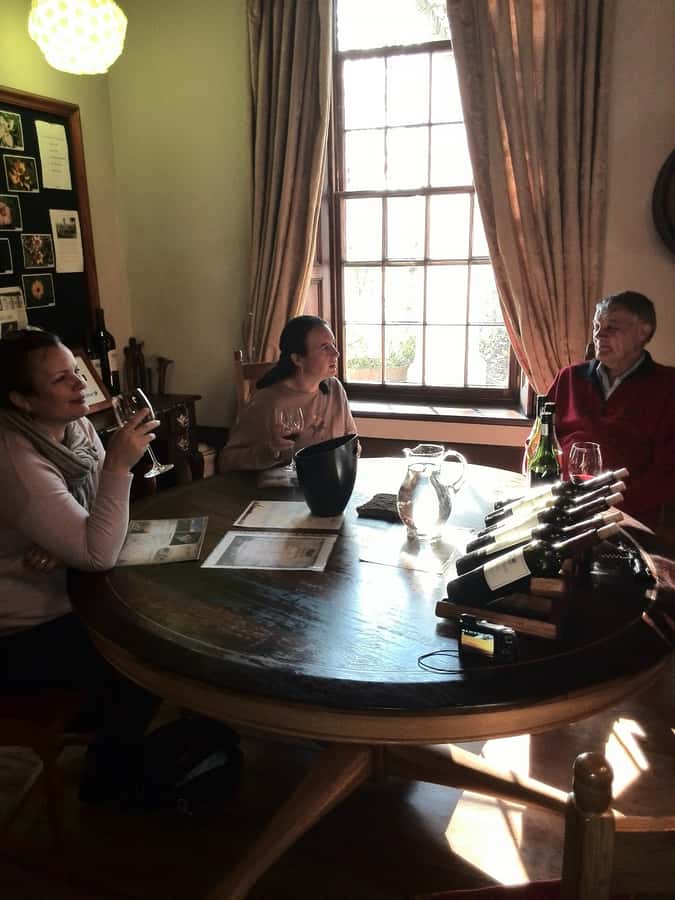 From Cape Town: Winelands Tour and Tastings - The pace, vehicle, and practical limits